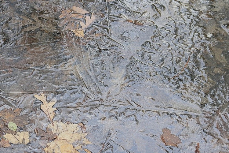 Ice formation