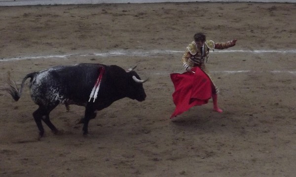 Bullfight (3)