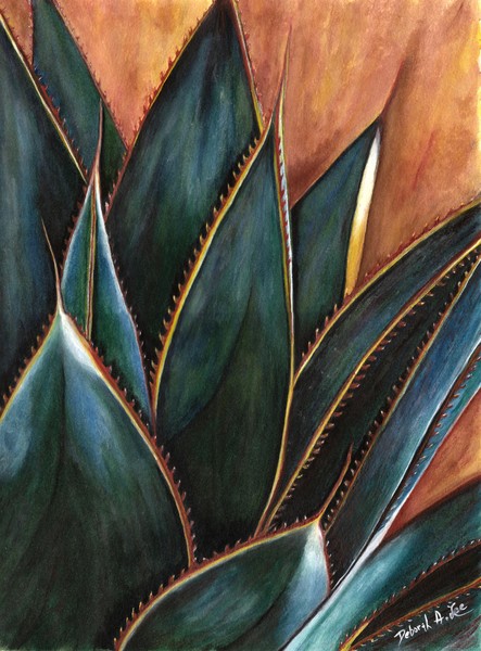 Agve Leaves