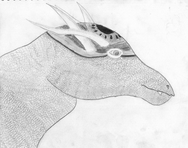 Sun Dragon