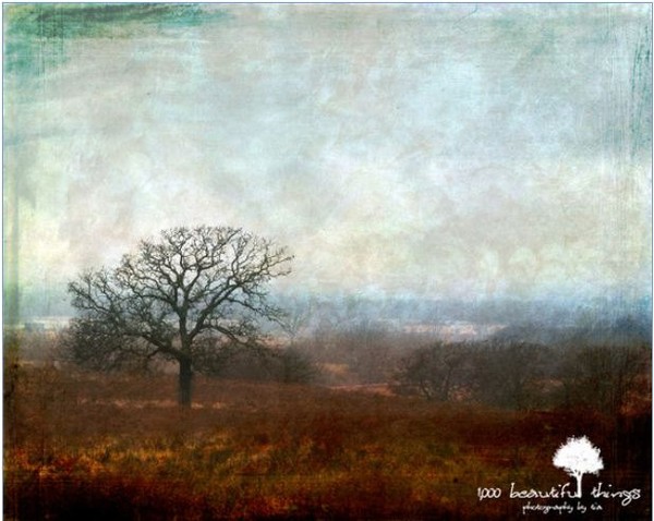 In the Mist