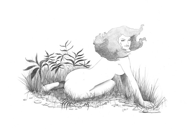 Wood Nymph