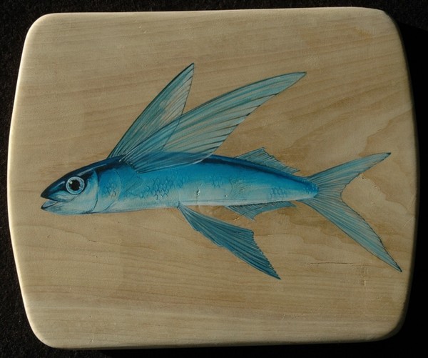 Flying fish