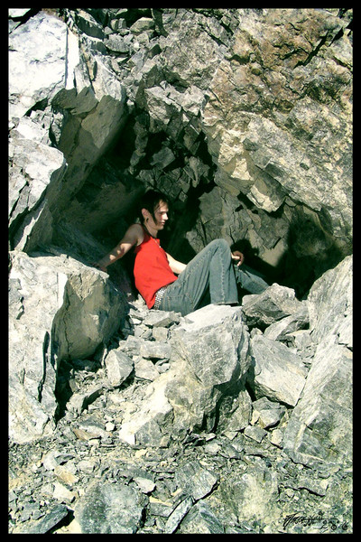 Give me shelter 