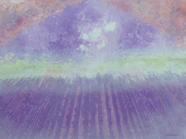 Lavender Dream