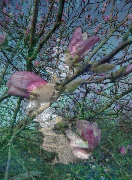 Manipulation 12