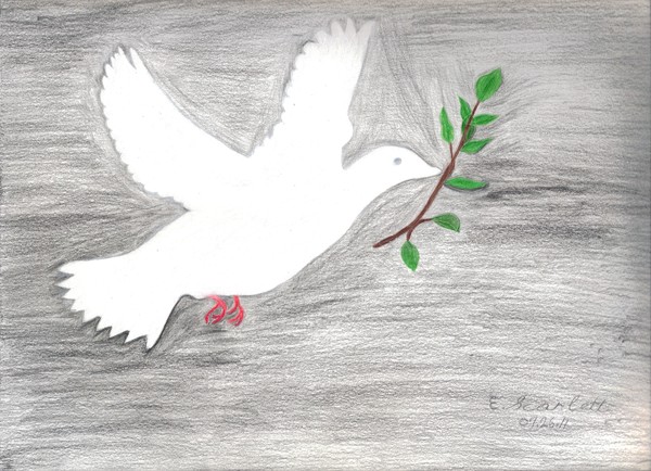  Dove