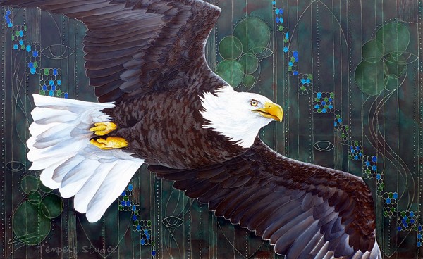 Bald Eagle Espessivo