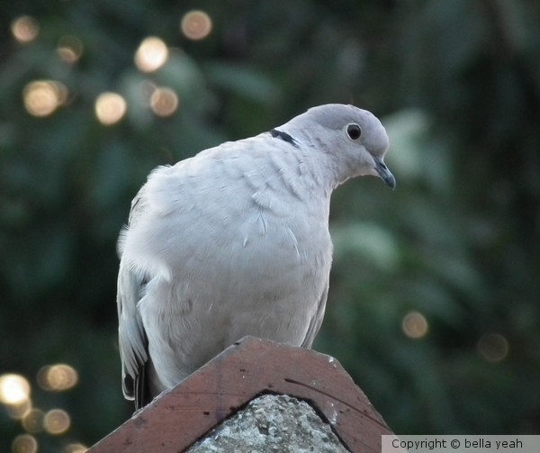 got his eye on me,,,