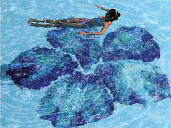 Hibisco