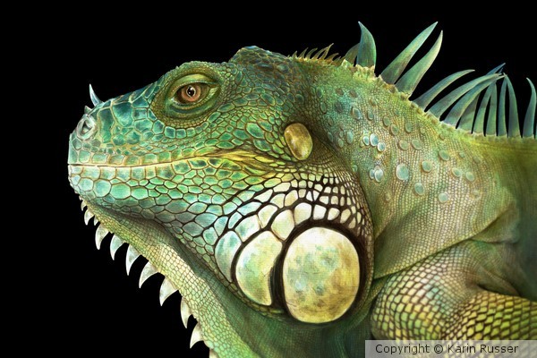 IGUANA