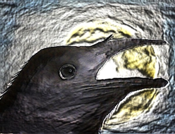 The Raven