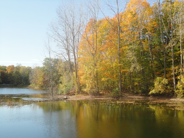 Autumn Lake