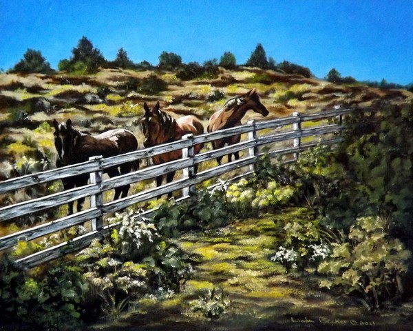 The Fence