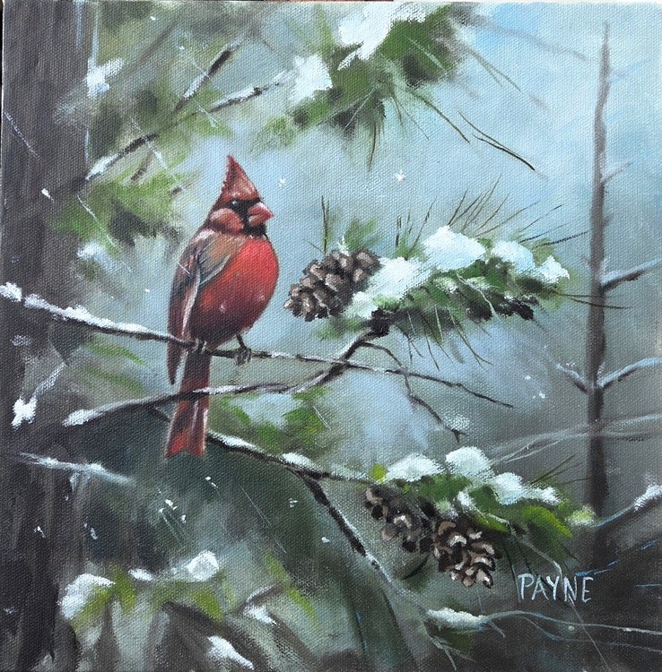 Winter Cardinal and Pine 