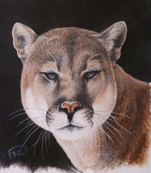 'Puma'