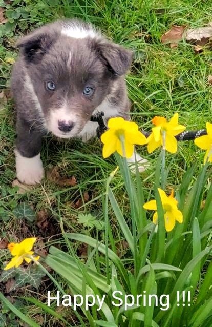 HI !!! MY NAME IS SOLO ..