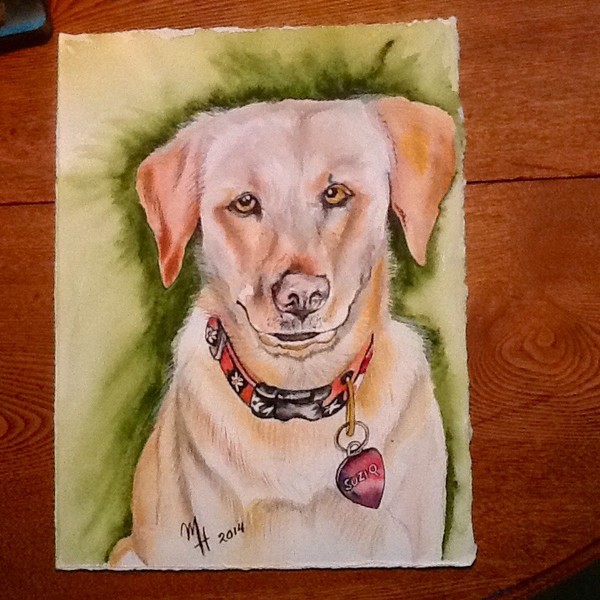 Finished  Suzi Q