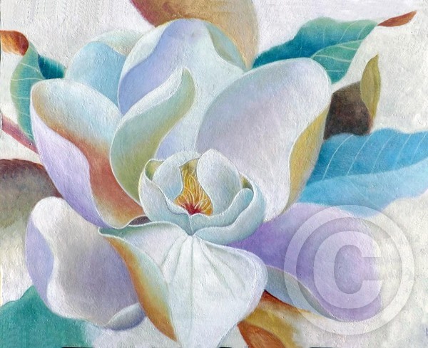 Magnolia