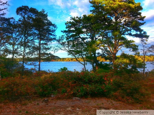 Cape Cod Views