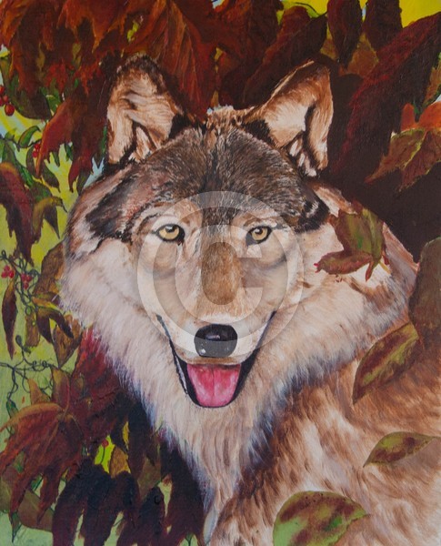 Muriels wolf final (1 of 1)
