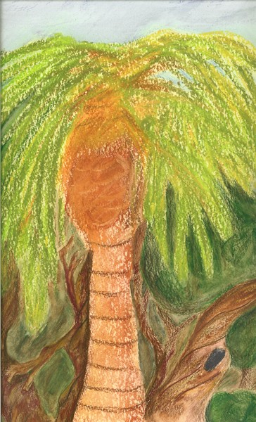 Palm Forest