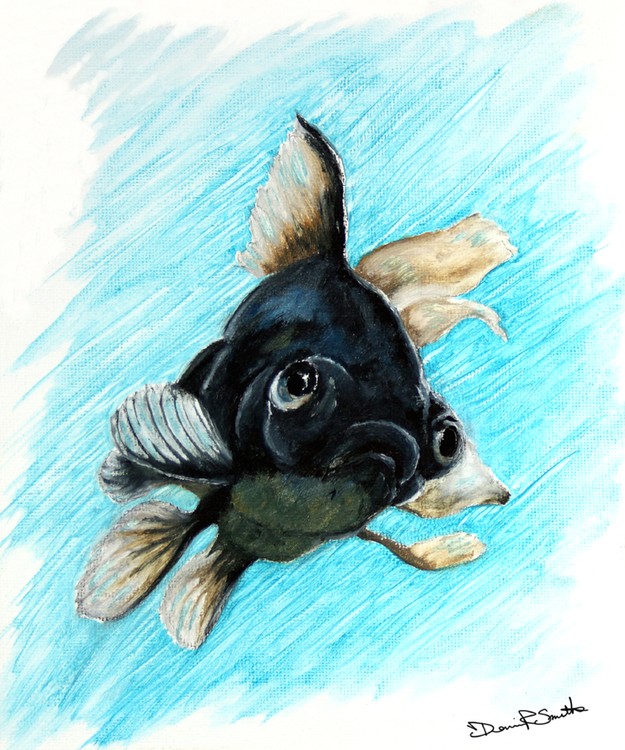Blackfish