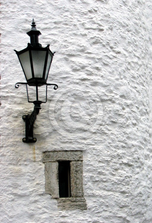 22 IMG 2891