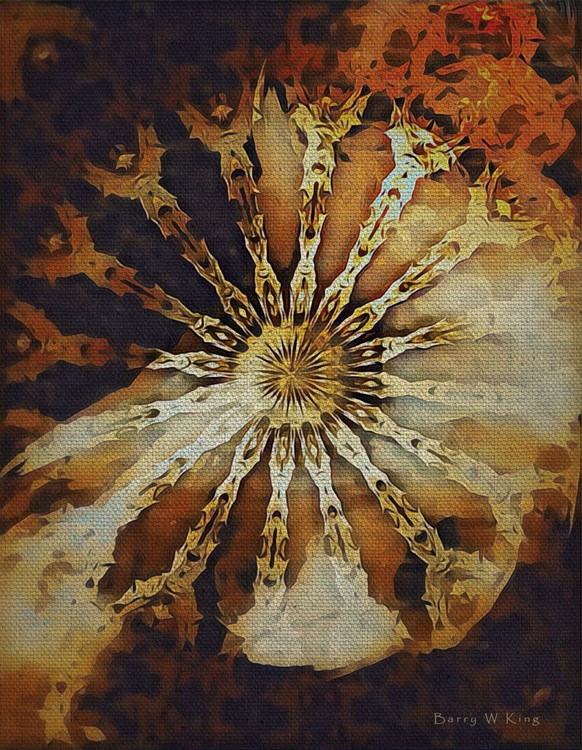wheel of time 