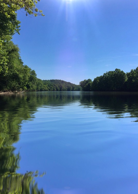 Peaceful Albemarle 
