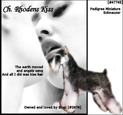 Rhodens Kiss