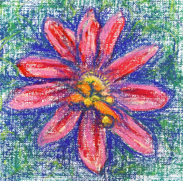 Passion Flower Drawing
