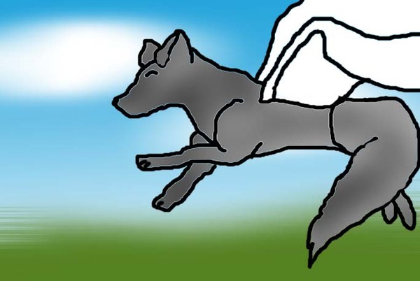 Taking Flight