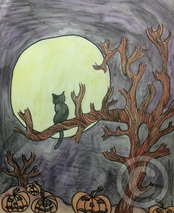 Black Cat
