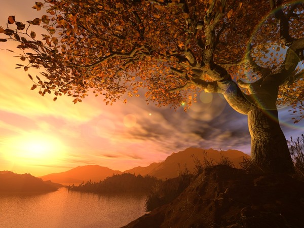 Paradise