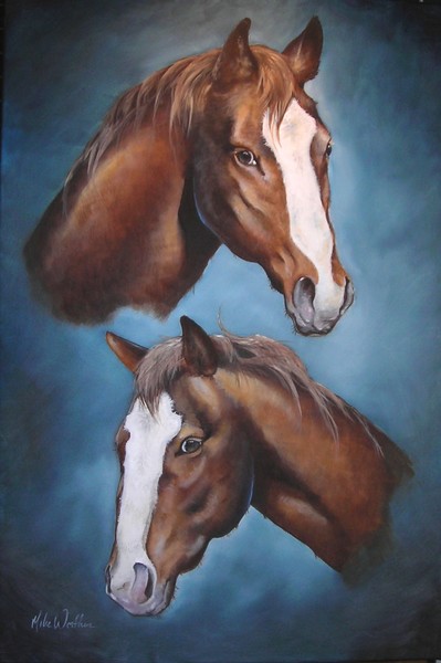 Horse portrait