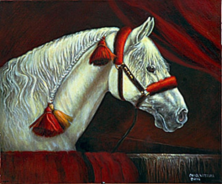  Anticipation Lipizzan