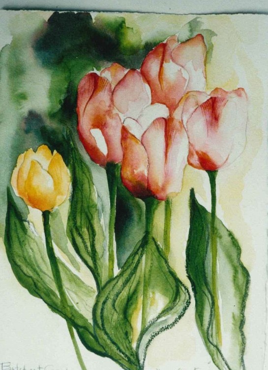 Four Tulips