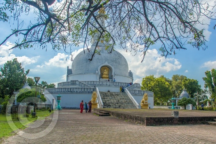Buddha Stupa campus amidst greenery