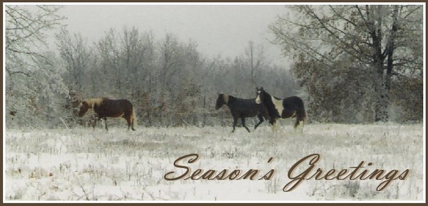 Horse Card 2