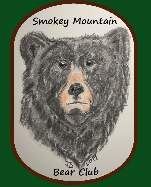 Logo bear BN3