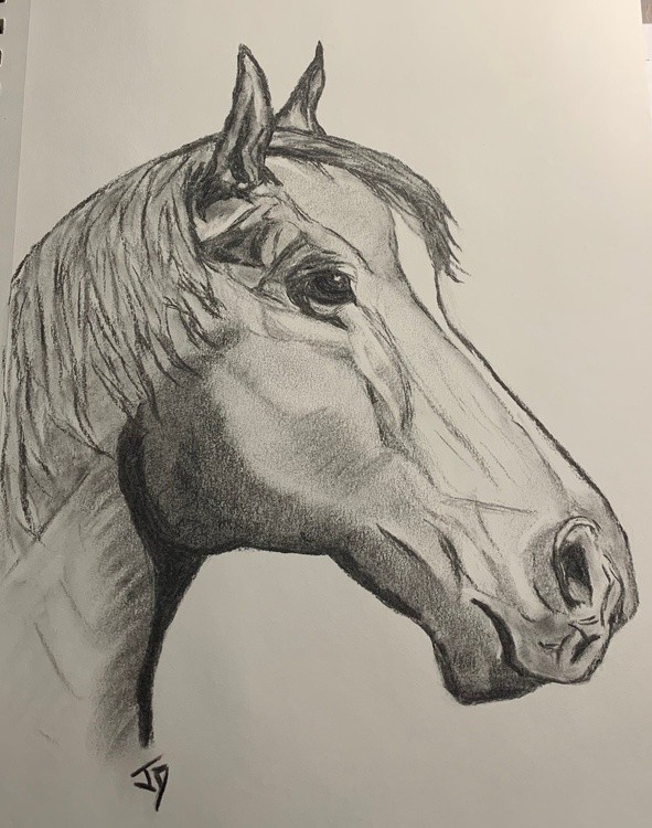 Horse may 2021