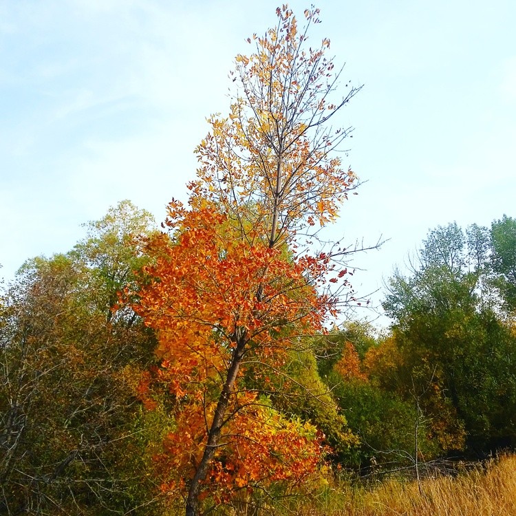 IMG 20201010 140630 774