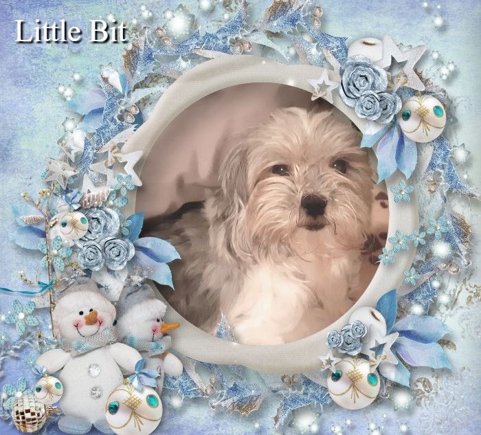 Little Bit