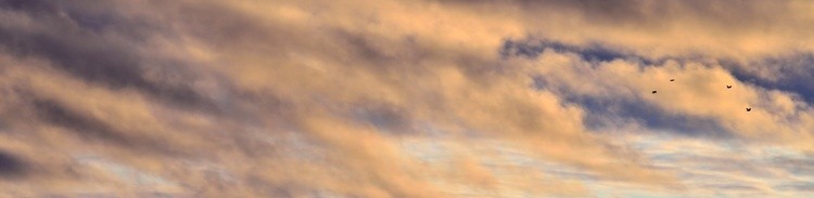 DSC 5670 00001