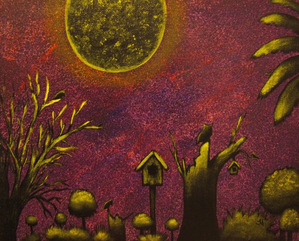 Night critters