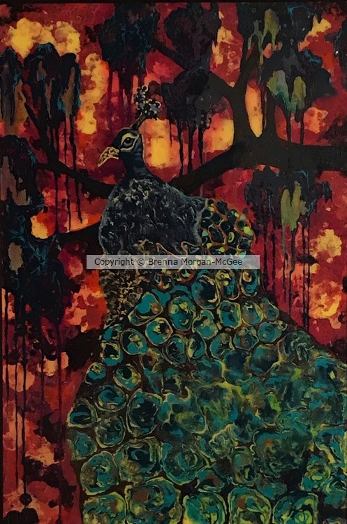 Peacock at Dusk