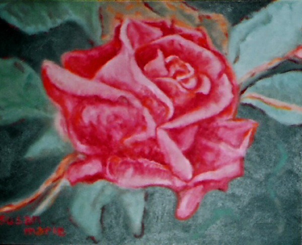 One Pink Rose