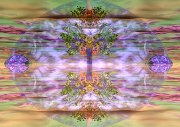 vision tree