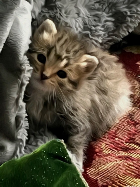 Alice